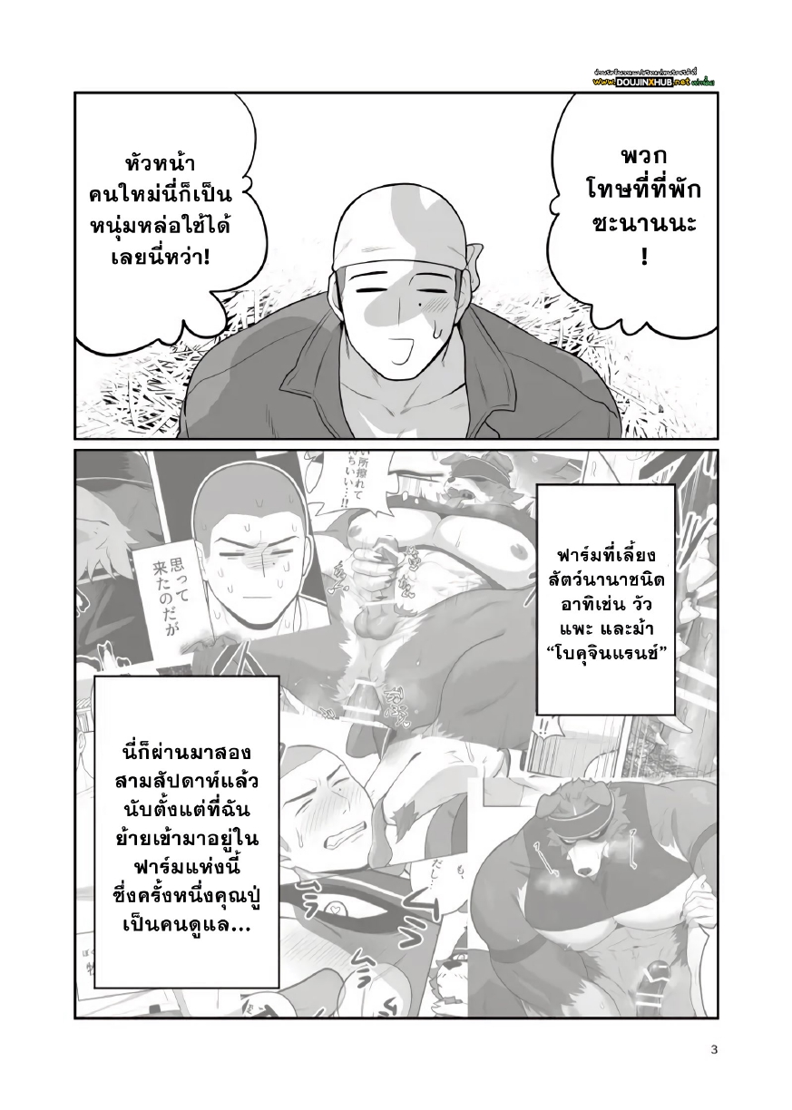 เจ้าของฟาร์มคนใหม่ 01-3